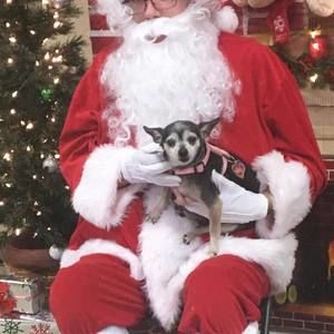 Meet your Posher, Terri